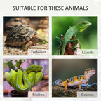 Reptile Habitat Benny - PETSTEP