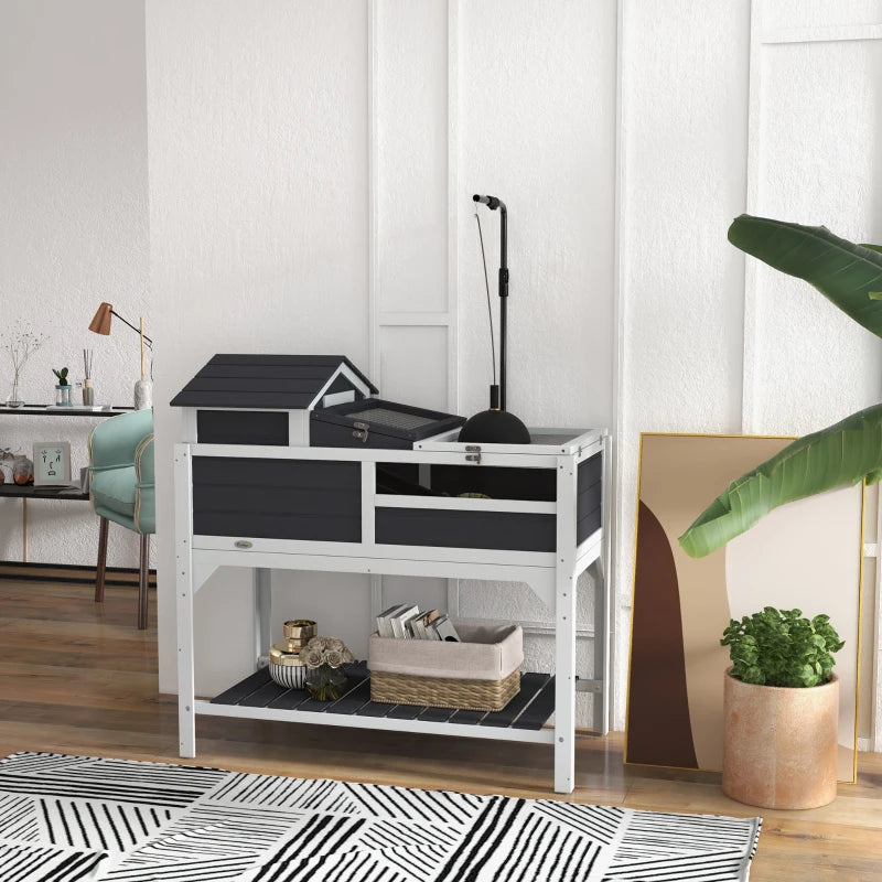 Reptile Habitat Rango - PETSTEP