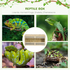 Reptile Habitat Zick - PETSTEP
