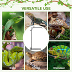 Reptile Lamp Stand Holder Kerri - PETSTEP