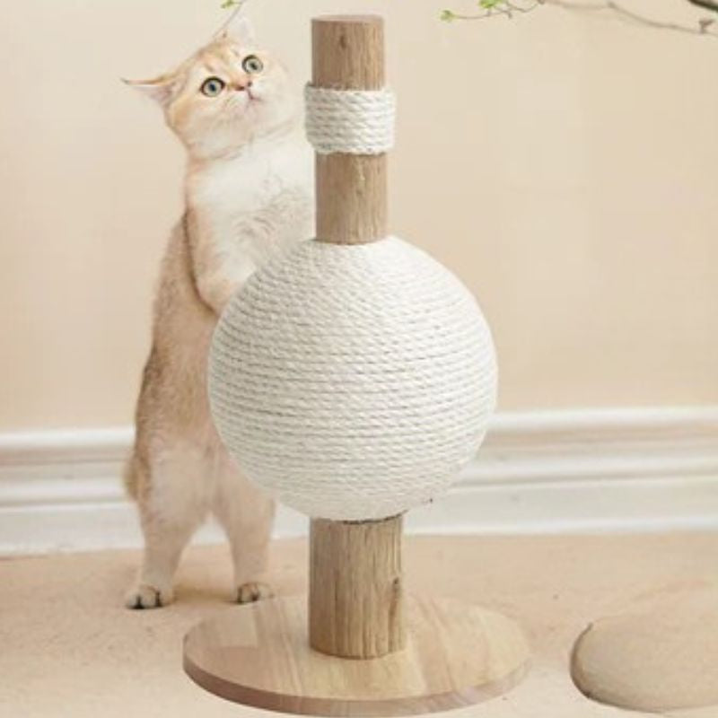 Cat Scratcher Asher - PETSTEP